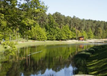 Vasarą prie Didžiosios ir Mažosios Dailidžių ežerų alytiškius džiugins gausybė vandens pramogų