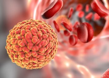 Įrodytas ryšys tarp Zikos infekcijos ir apsigimimų