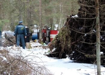 Bepiločiai orlaiviai Lietuvos miškuose ieškos samanės gamintojų