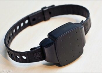 Pradedama taikyti nauja kardomoji priemonė – intensyvi priežiūra su apykoje