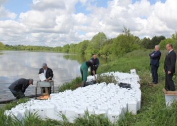 Druskininkų savivaldybės pastangos atsipirko: į Nemuną išpiltas biologinis preparatas mašalų lervoms naikinti