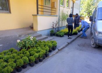 Mieste pasodinta daugiau kaip 2 000 dekoratyvinių medžių ir krūmų sodinukų
