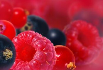 Šaldyti, konservuoti ar valgyti šviežius?