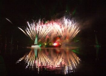 Trakų miesto šventėje vešliai sulapos pasaulio gyvybės medžiai