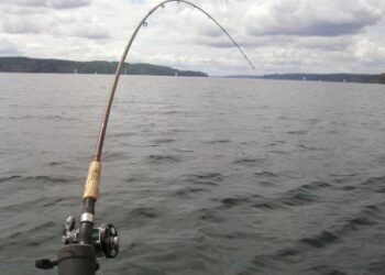 Kviečia Lentvario seniūnijos taurės spiningavimo varžybos