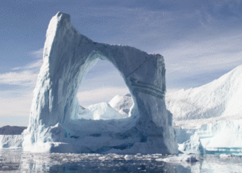 Turtus po ledu slepianti Arktis lengvo pelno neatneša