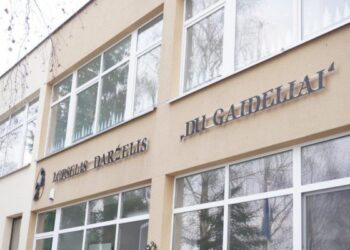 Vasarą Alytuje dirbs visi darželiai