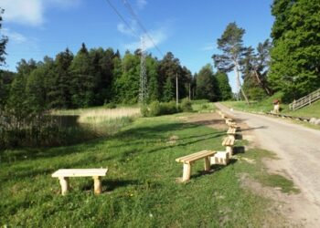 Aukštadvariečiai nuolat gražina aplinką