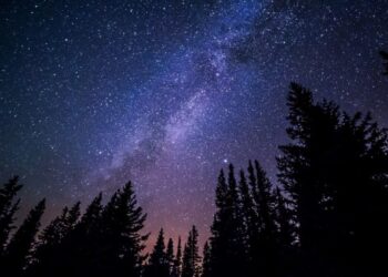 Kviečiame dalyvauti projekto „Po žvaigždėtu vasaros dangum. Literatūriniai vakarai Birštone 2016 m.“ renginiuose