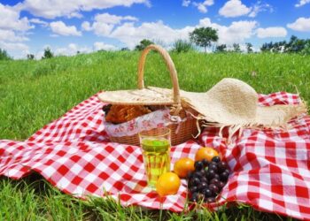 Iškylaujame gamtoje: kokius produktus rinktis?