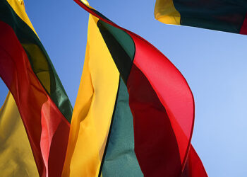 Alytaus miesto mero sveikinimas Valstybės dienos proga