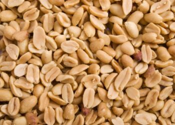 Mokslininkai tyrė riešutų ir alergijos sąryšį: viskas priklauso nuo apdorojimo būdo?