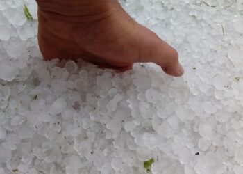 Škvalas plėšė stogus, vertė medžius, kūlė grikių laukus