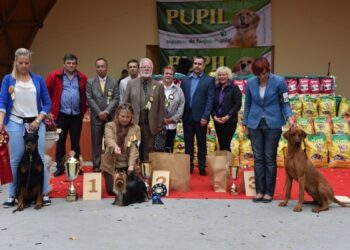 Savaitgalį Šalčininkų miesto parke karaliavo šunys iš įvairių Europos šalių