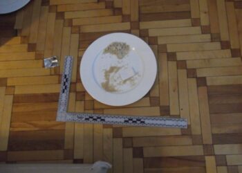 Policija smogė Alytaus romams, platinusiems narkotikus