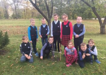 Akcijos „Skambantis Kadagių slėnis“ augalas ir Miroslavo gimnazijos kieme