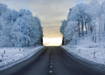 Kelininkų darbą bus galima stebėti internete