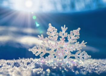 „Dirbk ir būsi pripažintas“ (A. Sliesaravičius)