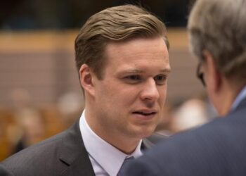 G. Landsbergis: „Gyventojų lūkesčiams augant valdantieji nesiima spręsti rimtų problemų“