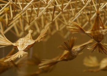 Šiaudiniai sodai – naujai atgimstantys darnos nešėjai