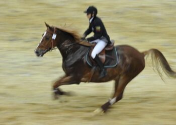 Pasaulio taurės finalas vyks Vilniuje