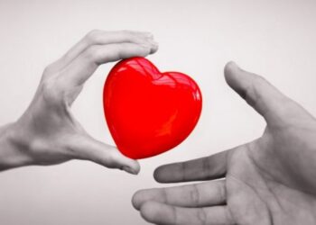 Organų donorystė ir transplantacija 2016-aisiais: daug įsimintinų naujovių