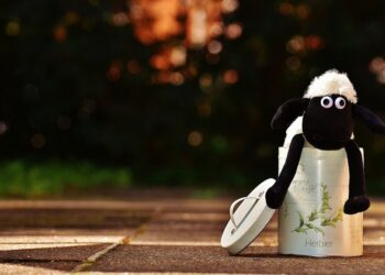 Naudingi patarimai ieškantiems dovanos berniukui