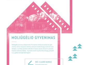 Druskininkuose – „Oskarui“ nominuoto filmo šeimai „Moliūgėlio gyvenimas“ nemokamas seansas