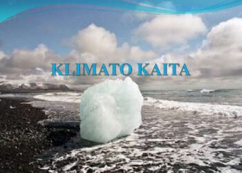 ICC skelbia: „Verslas žino kaip prisidėti prie kovos su klimato kaita“