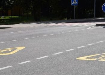 „Apsaugok mane“ akcijos metu Lietuvoje nukentėjo 12 moksleivių