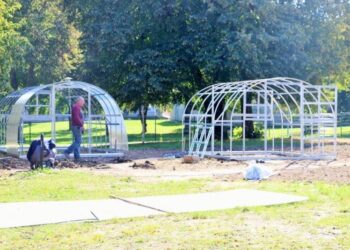 Tvarkoma Alytaus miesto socialinių paslaugų centro aplinka