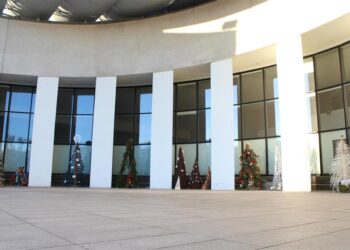 Trečią kartą Alytų puoš Kalėdinių eglučių parkas