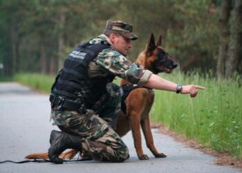 Surengti specializuoti ir aukštesnio lygio sienos apsaugos pareigūnų mokymai