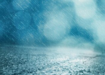 Sinoptiko komentaras