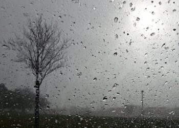 Sinoptiko komentaras