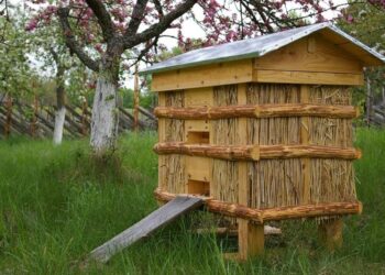 Parama bitininkystės sektoriui