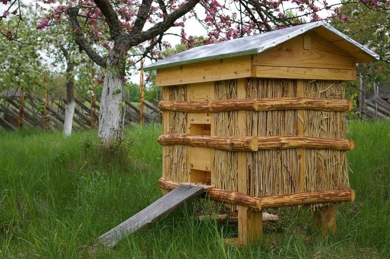 Parama bitininkystės sektoriui