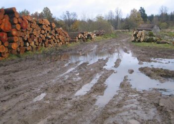 Už sugadintus Alytaus rajono kelius reikės atsakyti