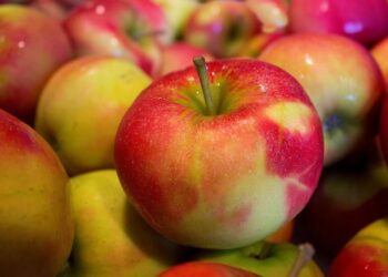 Naujovės vaikų ugdymo įstaigų maitinime