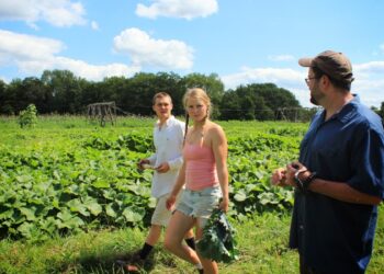 Vasara – nepilnamečių įsidarbinimo metas