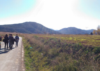 Pigiai keliauti leidžia ir kurioziškos situacijos