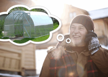 Rogutes ruošk vasarą, o šiltnamį – žiemą..? Kodėl dabar apsimoka pirkti šiltnamį?