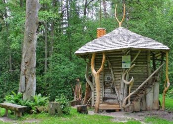 Anzelmo Matučio Drevė