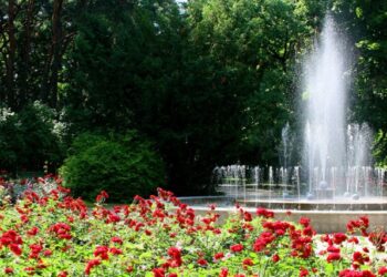 Alytaus sodas. Ž. Smigelsko nuotr.