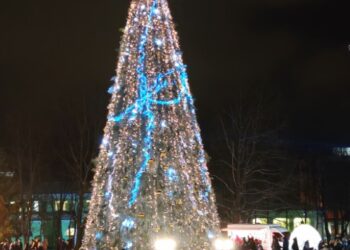 Kalėdų eglė Druskininkuose