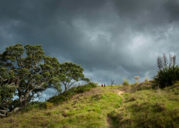 Savaitė po didžiausios šių metų audros: nuostoliai 4,23 mln. eurų
