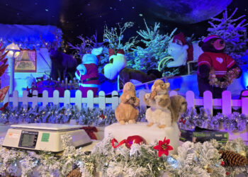 Kalėdinė pirkimo karštinė: kodėl jai pasiduoda net klimato aktyvistai?