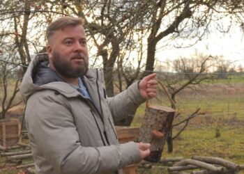 Dainius iš nuosavo verslo Jungtinėje Karalystėje nėrė į ūkį Lietuvoje