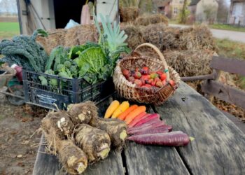 Lietuvių lūkesčiai žemės ūkiui – daugiau gamtos apsaugos, kokybiško, sveiko ir pigaus maisto