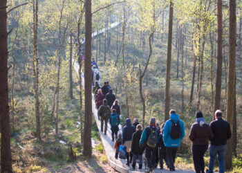 Šventė gamtos širdyje: festivalis „Vidur girių“ skiriamas Čepkelių rezervato 50-mečiui